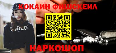 индика Можга
