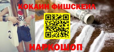 индика Можга