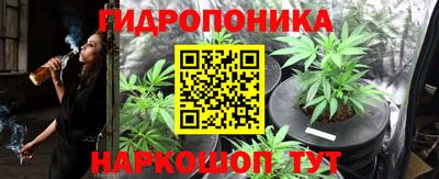стафф Моздок