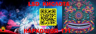 индика Можга