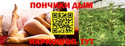 индика Можга