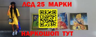 индика Можга