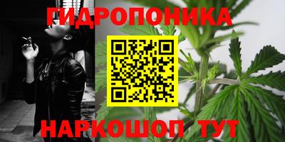 индика Можга
