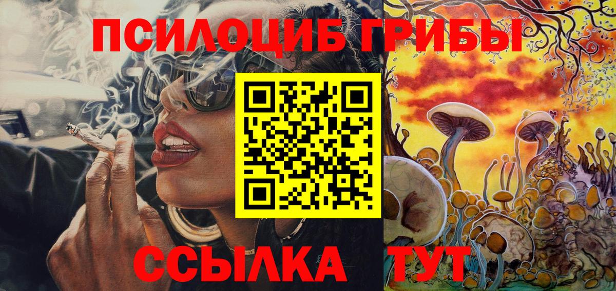 Галлюциногенные грибы Cubensis Топки