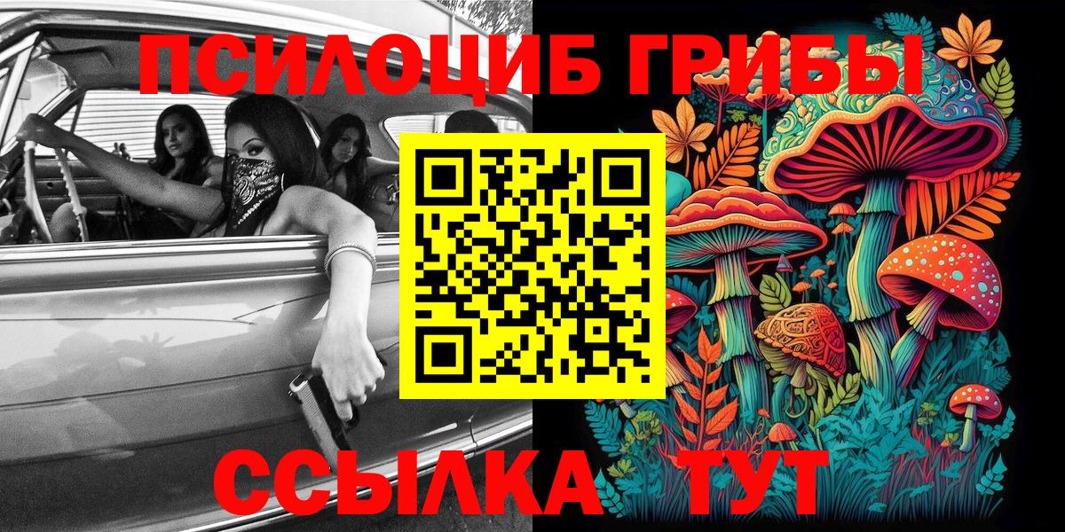 ГАШ Топки